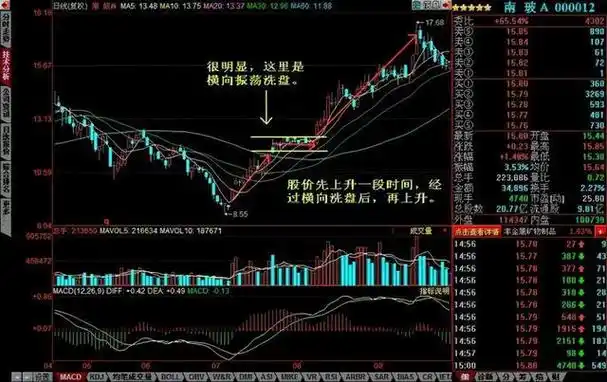 示例平台10图标